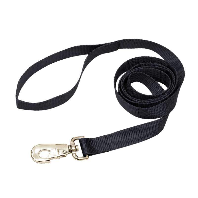 Nylon Leash, - Lucky Pet